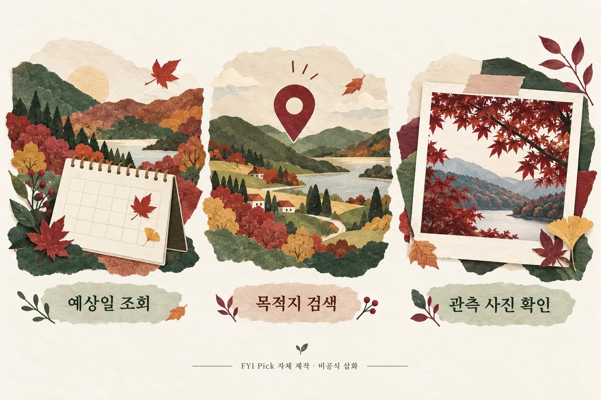 단풍 예상일 조회, 목적지 검색, 관측 사진 확인을 설명하는 자체 제작 삽화